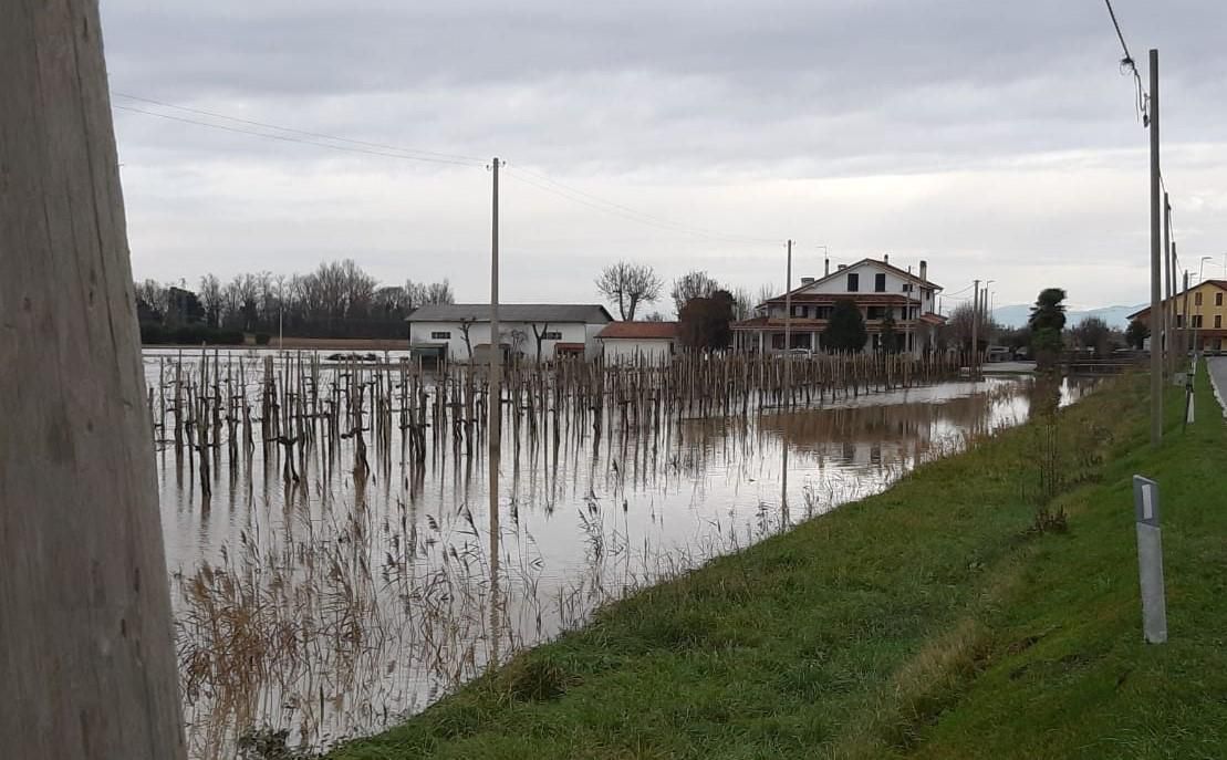 Immagine per Alluvione a Boscat e Fossalon, Grado chiede lo stato di calamità  naturale